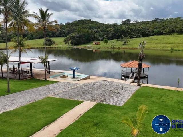 Sítio para Venda em Nerópolis - 5