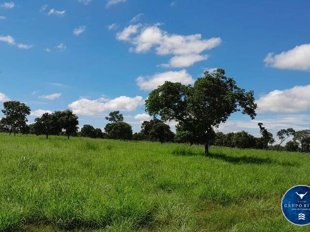 #3699 - Fazenda para Venda em Arraias - TO