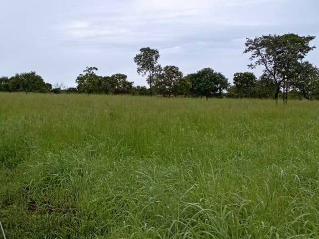 #3699 - Fazenda para Venda em Arraias - TO