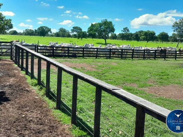 Venda em zona rural - Arraias