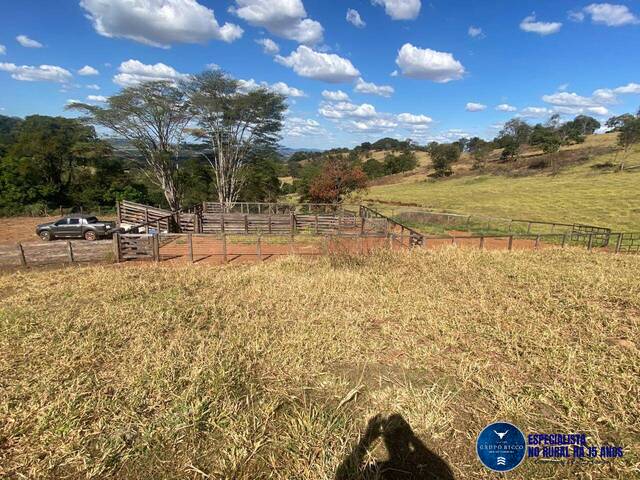 #3701 - Chácara para Venda em Itaguari - GO