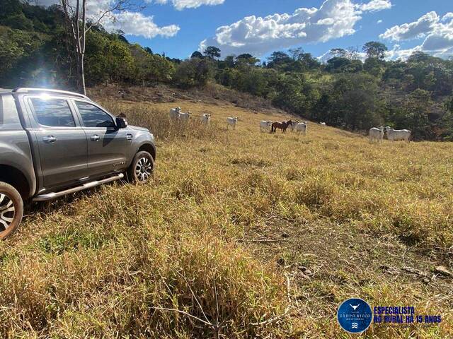 Chácara para Venda em Itaguari - 4