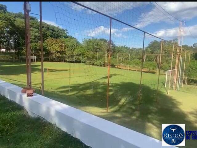 #3705 - Chácara para Venda em Taquaral de Goiás - GO