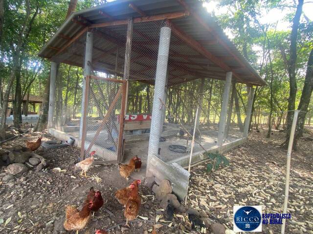 #3705 - Chácara para Venda em Taquaral de Goiás - GO