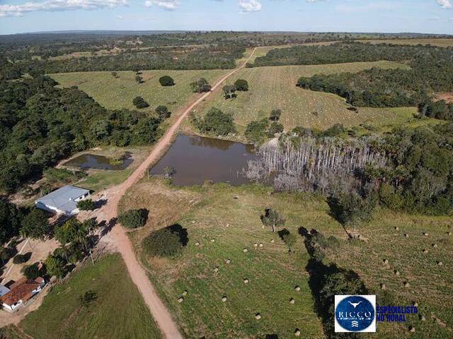 #3706 - Fazenda para Venda em Barra do Garças - MT
