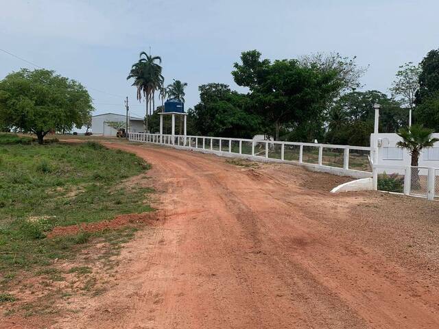 #3706 - Fazenda para Venda em Barra do Garças - MT
