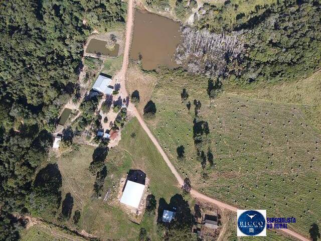 #3706 - Fazenda para Venda em Barra do Garças - MT