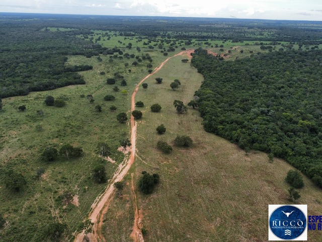 #3707 - Fazenda para Venda em Araguaçu - TO