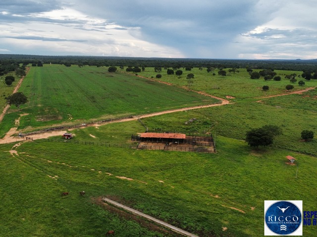 #3707 - Fazenda para Venda em Araguaçu - TO