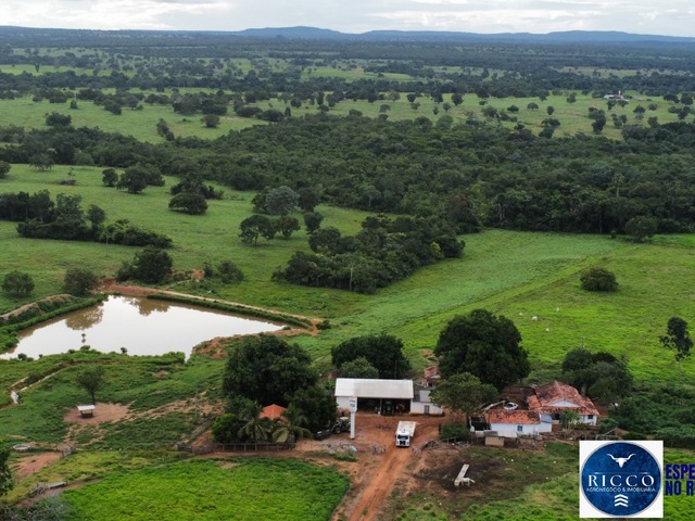 #3707 - Fazenda para Venda em Araguaçu - TO