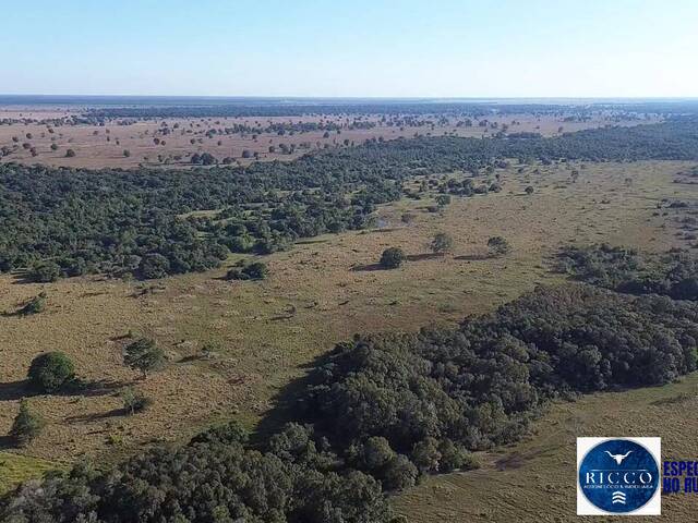 #3710 - Fazenda para Venda em Araguaiana - MT