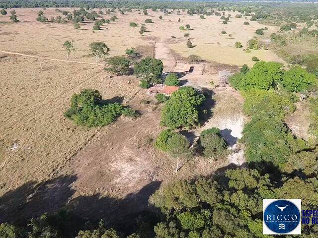 #3710 - Fazenda para Venda em Araguaiana - MT
