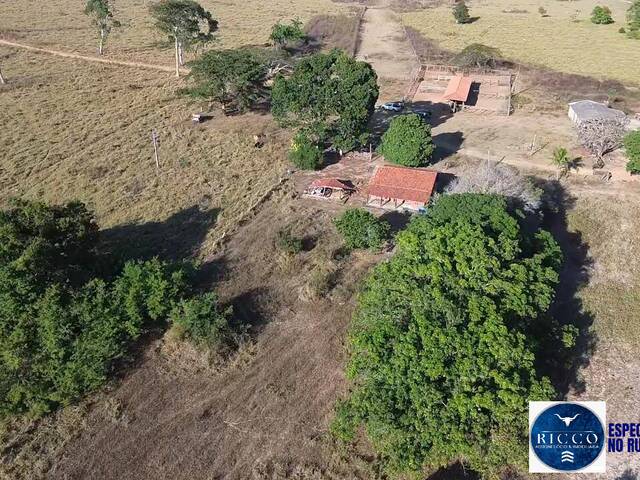 #3710 - Fazenda para Venda em Araguaiana - MT