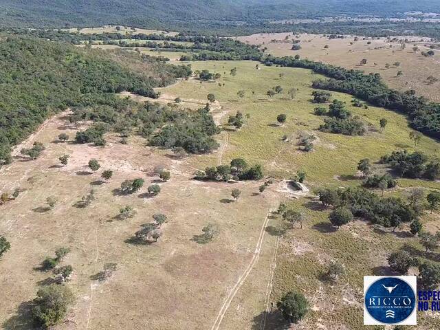 #3711 - Fazenda para Venda em Itapirapuã - GO