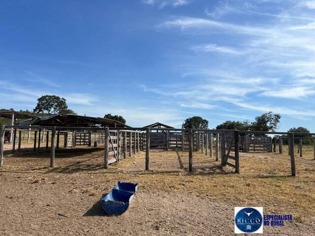 Fazenda para Venda em Itapirapuã - 4
