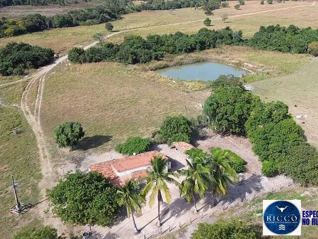 #3711 - Fazenda para Venda em Itapirapuã - GO
