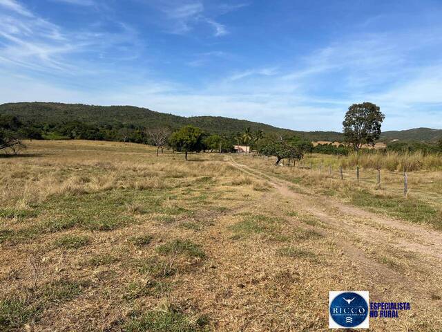 Fazenda para Venda em Itapirapuã - 5