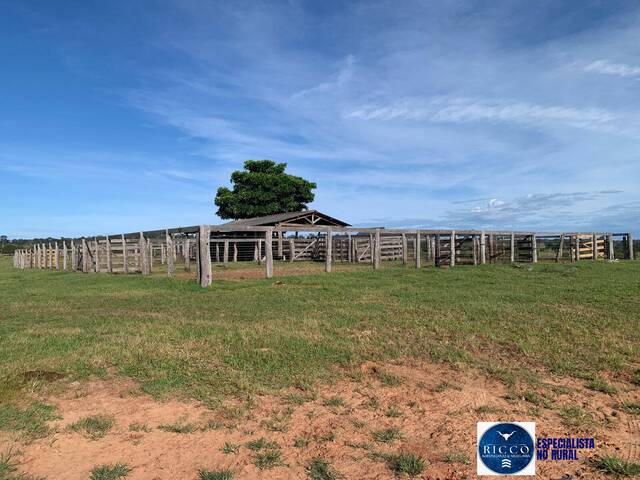 #3712 - Fazenda para Venda em Pontal do Araguaia - MT