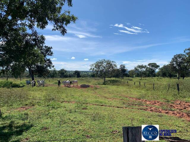 #3712 - Fazenda para Venda em Pontal do Araguaia - MT