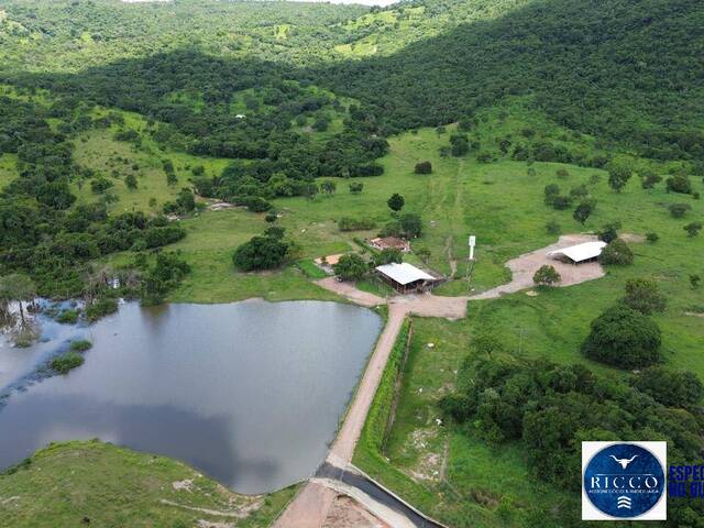 Venda em ZONA RURAL - Morro Agudo de Goiás