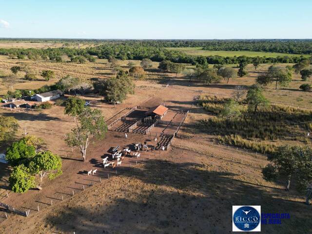 #3714 - Fazenda para Venda em São Miguel do Araguaia - GO