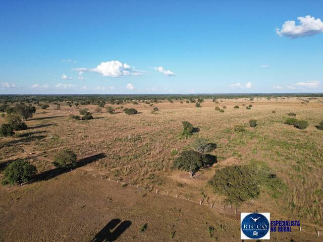 #3714 - Fazenda para Venda em São Miguel do Araguaia - GO