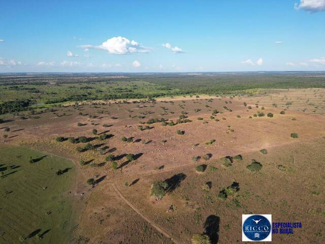 Fazenda para Venda em São Miguel do Araguaia - 5