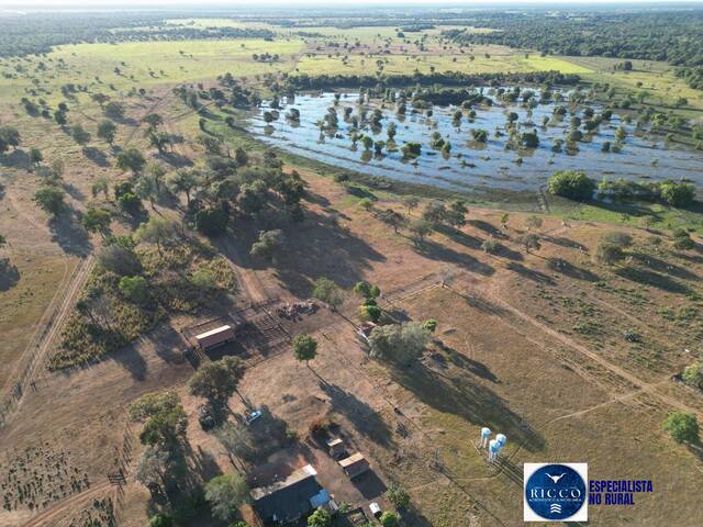 #3714 - Fazenda para Venda em São Miguel do Araguaia - GO