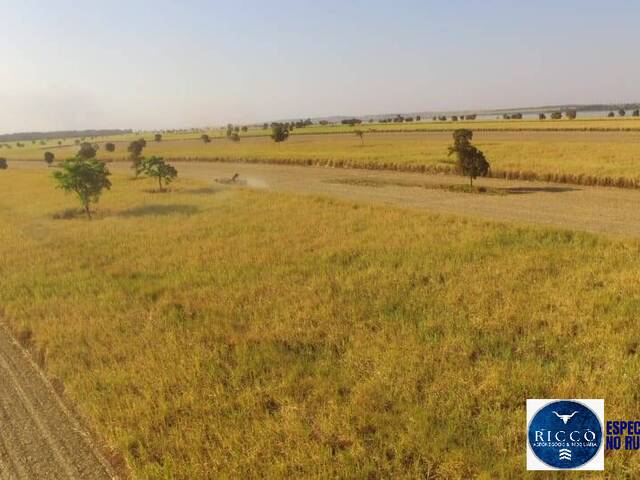 Fazenda para Venda em Quirinópolis - 5