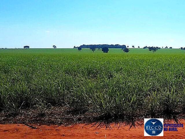 #3716 - Fazenda para Venda em Quirinópolis - GO