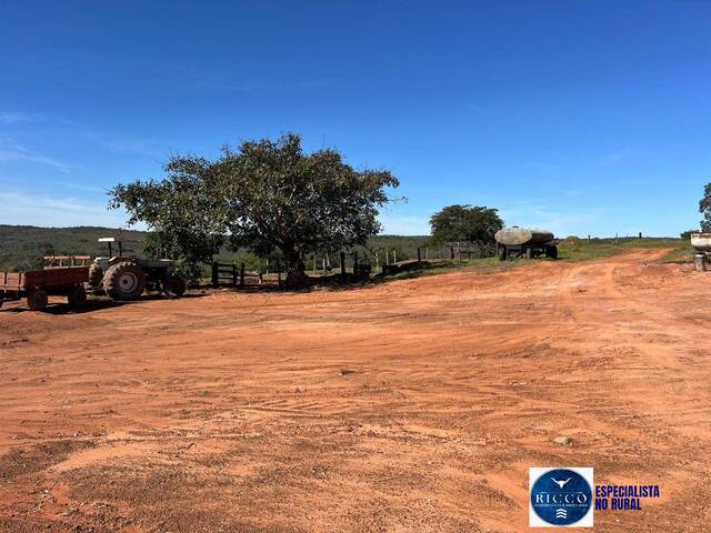 #3717 - Fazenda para Venda em Serranópolis - GO