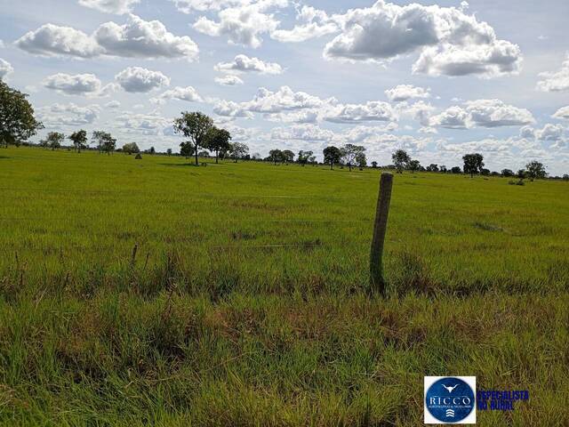 #3718 - Fazenda para Venda em Araguaiana - MT
