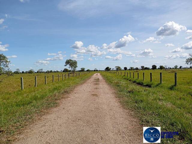 #3718 - Fazenda para Venda em Araguaiana - MT