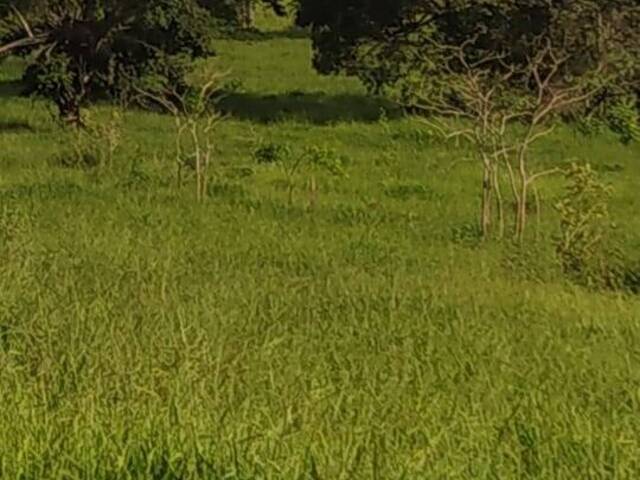 #3719 - Chácara para Venda em Ouro Verde de Goiás - GO