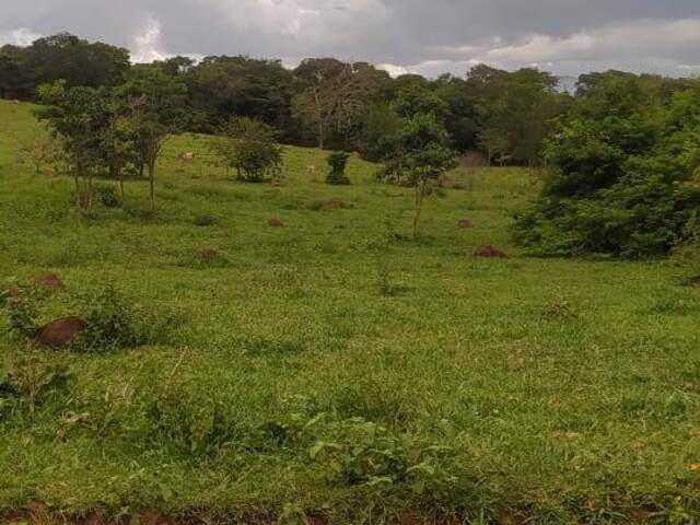 #3719 - Chácara para Venda em Ouro Verde de Goiás - GO