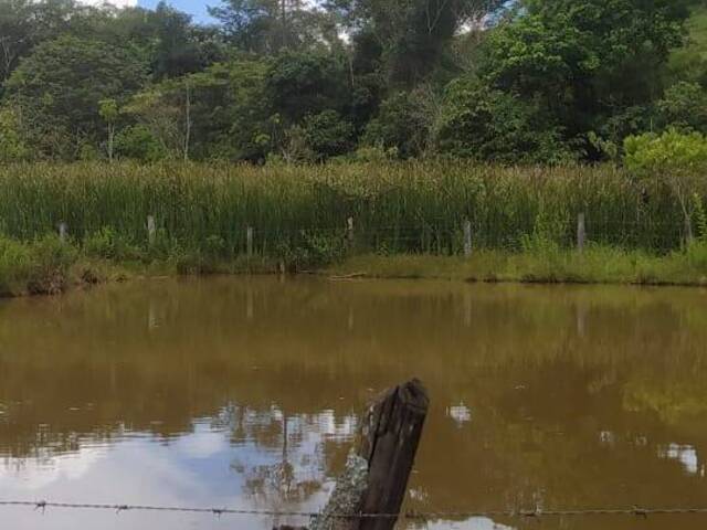 #3719 - Chácara para Venda em Ouro Verde de Goiás - GO