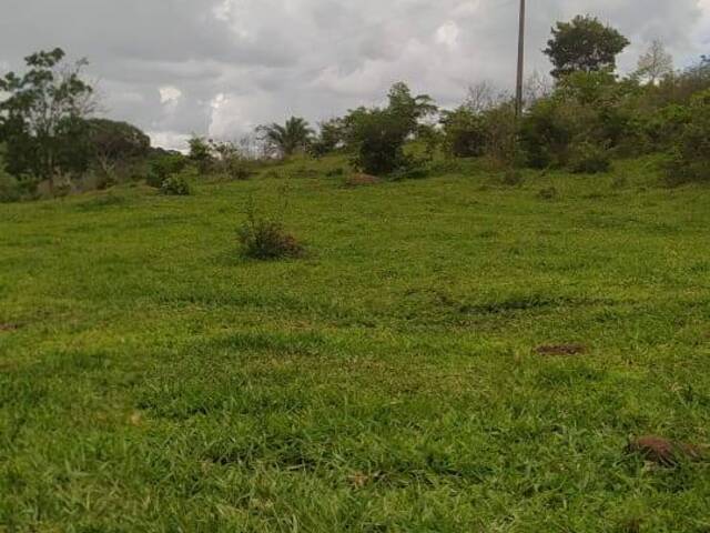 Chácara para Venda em Ouro Verde de Goiás - 5