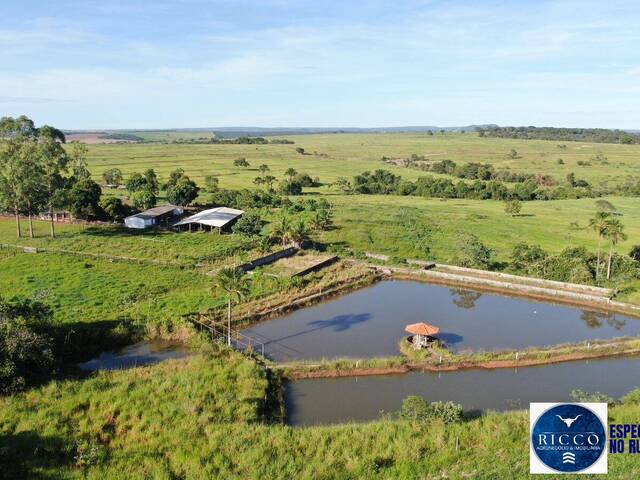 #3720 - Fazenda para Venda em Paraúna - GO