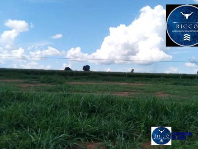 #3721 - Fazenda para Venda em Aragarças - GO