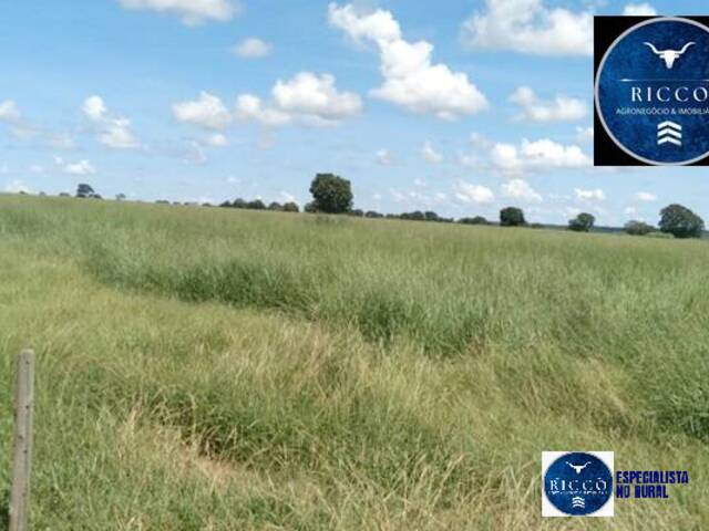 #3721 - Fazenda para Venda em Aragarças - GO