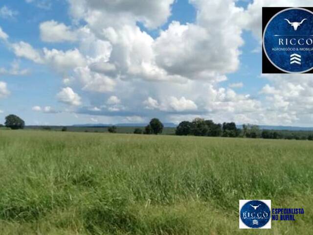 #3721 - Fazenda para Venda em Aragarças - GO