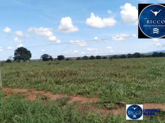 Fazenda para Venda em Aragarças - 5