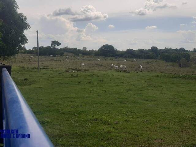 #3726 - Fazenda para Venda em Mozarlândia - GO