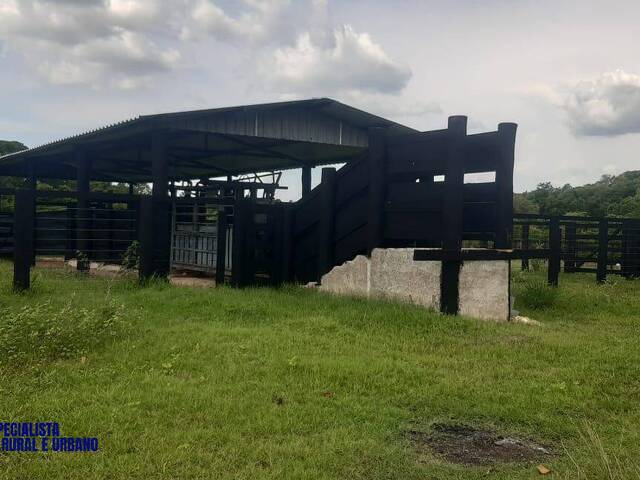 #3726 - Fazenda para Venda em Mozarlândia - GO