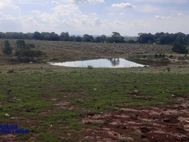 Fazenda para Venda em Mozarlândia - 5