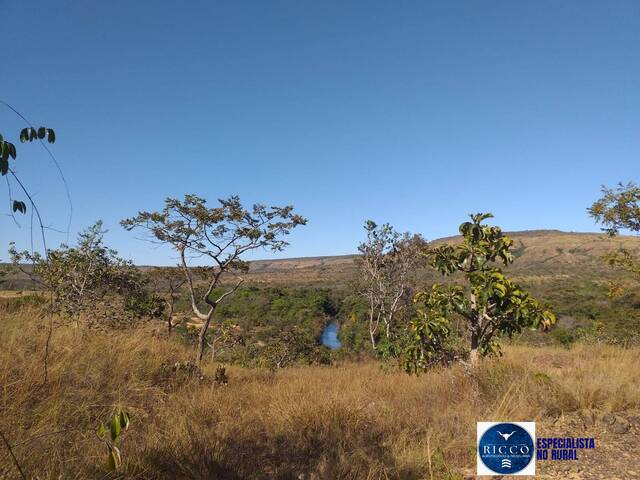 #3733 - Fazenda para Venda em Buritis - MG