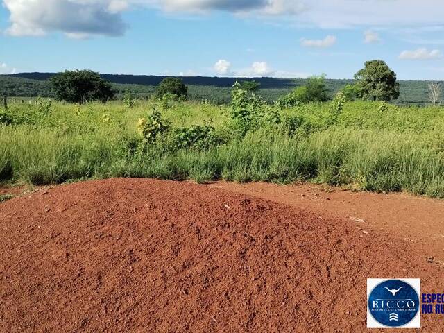 #3734 - Fazenda para Venda em Montes Claros de Goiás - GO