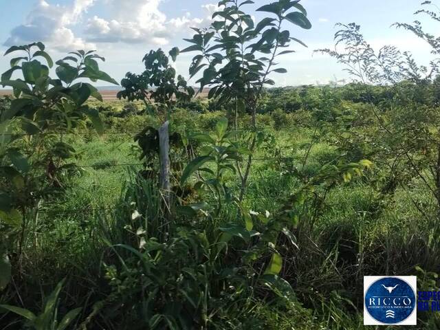 #3734 - Fazenda para Venda em Montes Claros de Goiás - GO