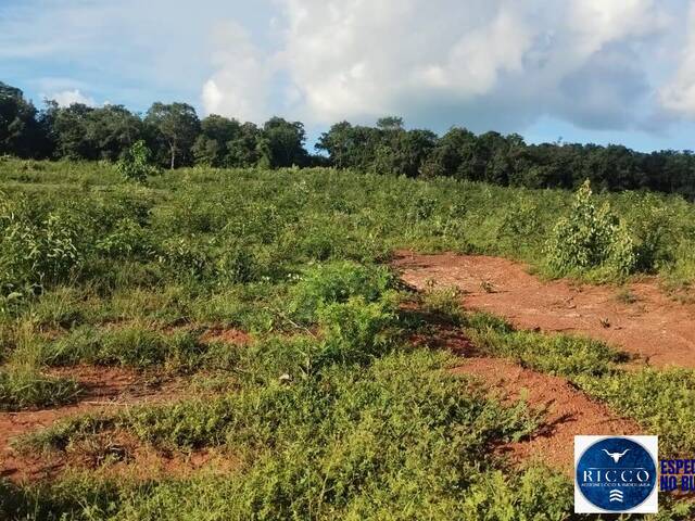 #3734 - Fazenda para Venda em Montes Claros de Goiás - GO