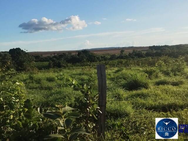 Fazenda para Venda em Montes Claros de Goiás - 4